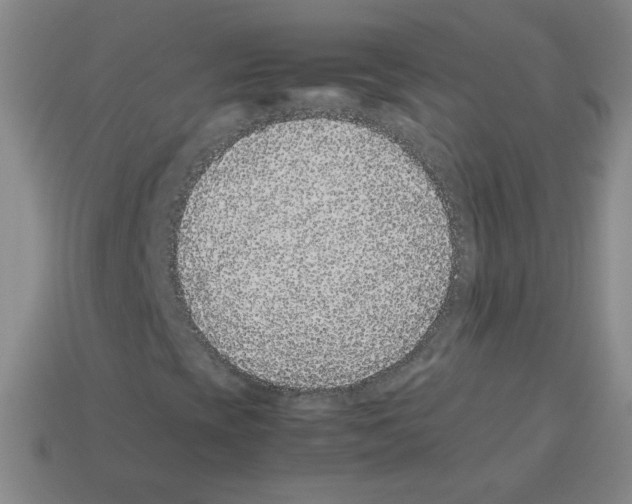 X0000113241393200910221050