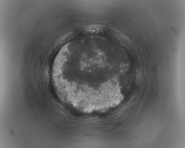 X0000113241394200910221050