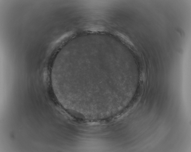 X0000113241398200910221050