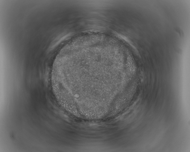 X0000113241399200910221050