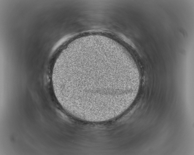 X0000113241400200910221050