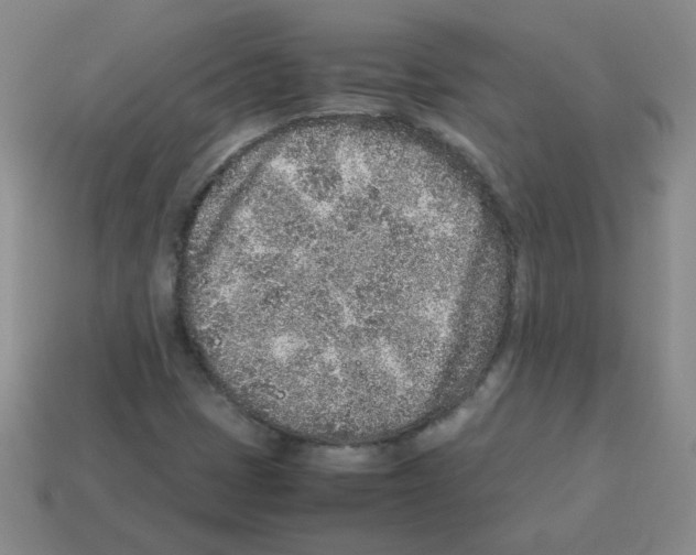 X0000113241401200910221050