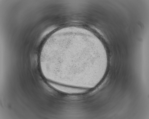 X0000113241402200910221050