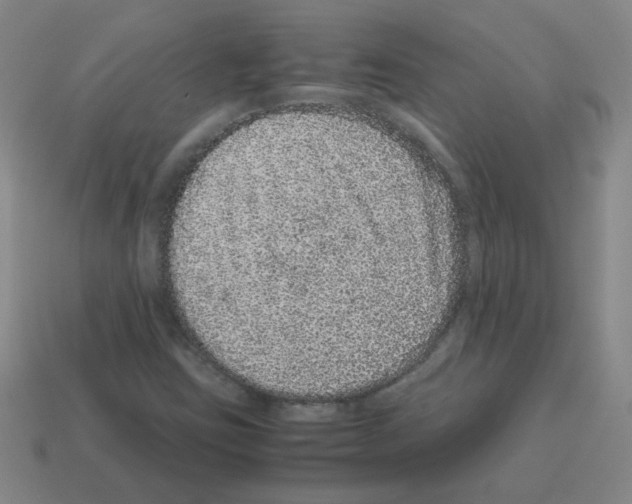 X0000113241403200910221050
