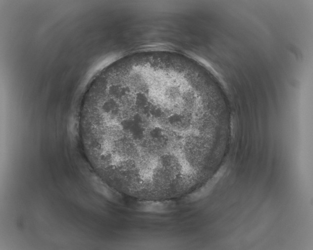 X0000113241405200910221050