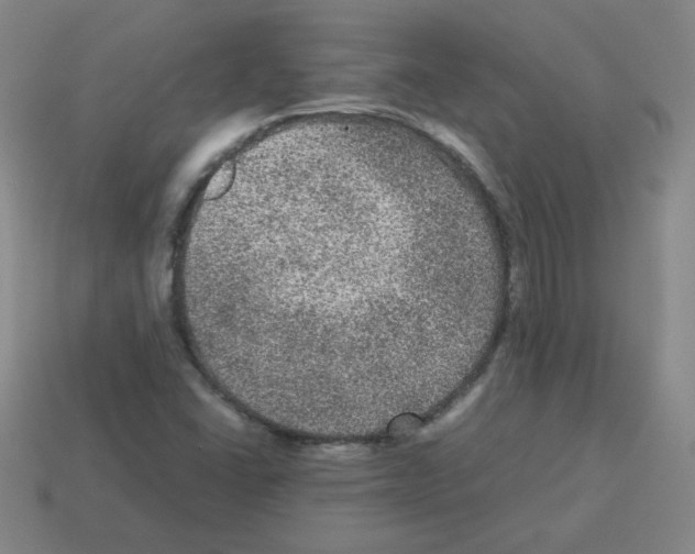 X0000113241406200910221050