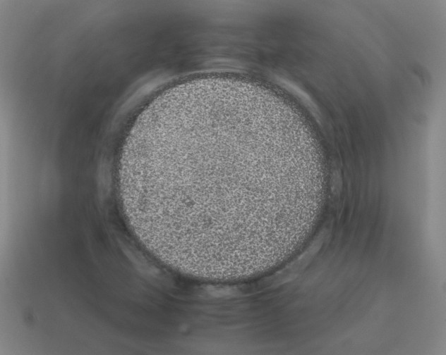 X0000113241407200910221050