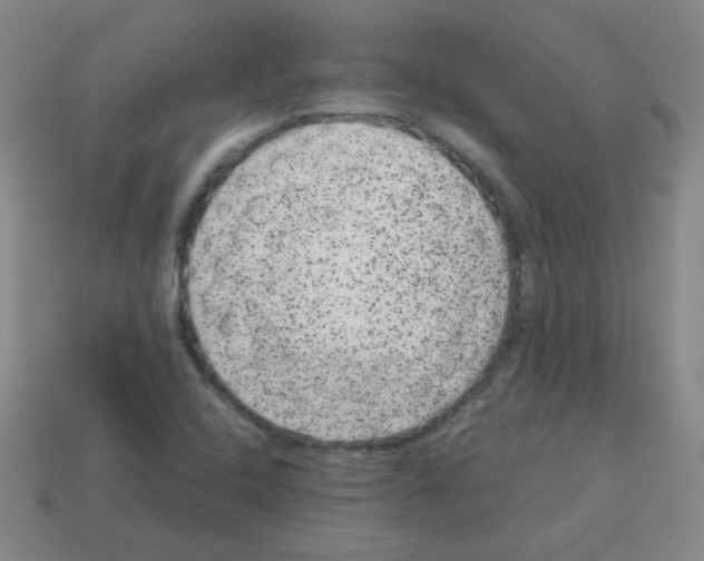 X0000113241408200910221050