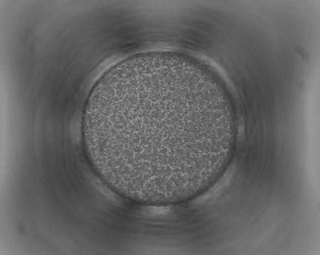 X0000113241409200910221050
