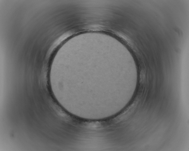 X0000113241410200910221050