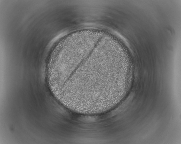 X0000113241411200910221050