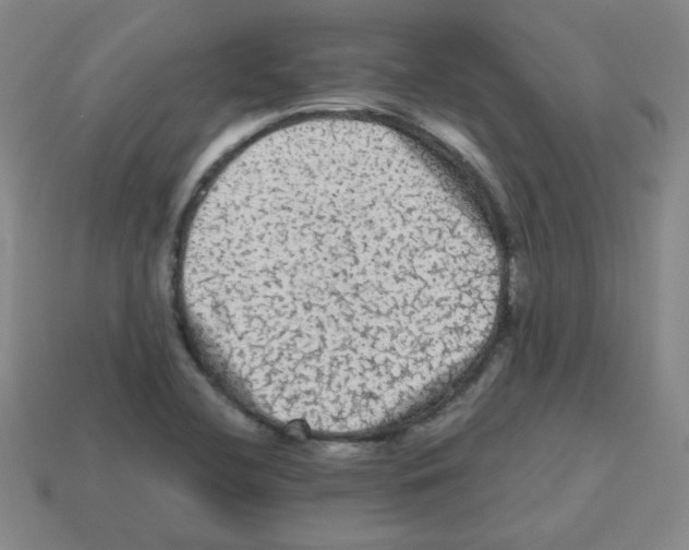 X0000113241412200910221050