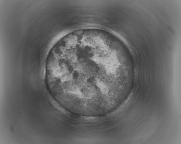 X0000113241413200910221050