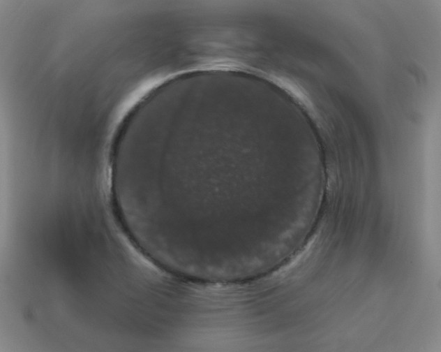 X0000113241414200910221050