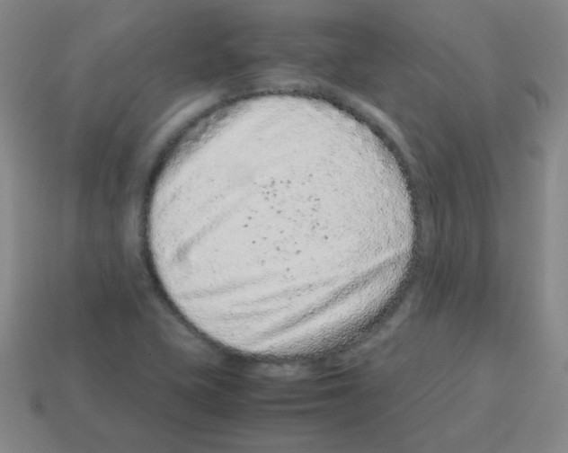 X0000113241415200910221051