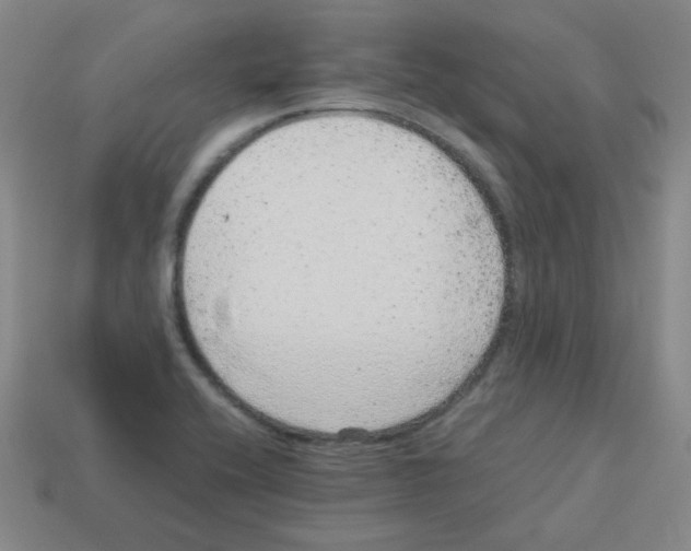 X0000113241416200910221051