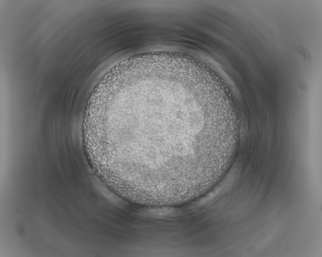 X0000113241417200910221051