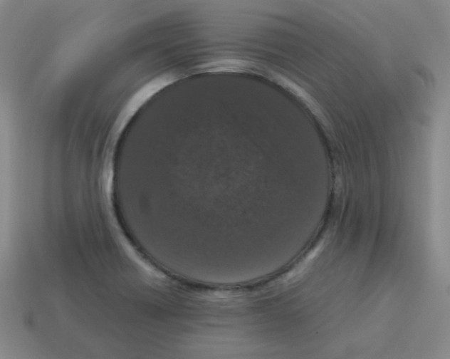 X0000113241418200910221051