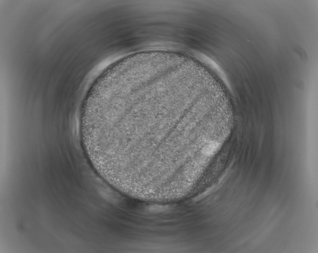X0000113241419200910221051