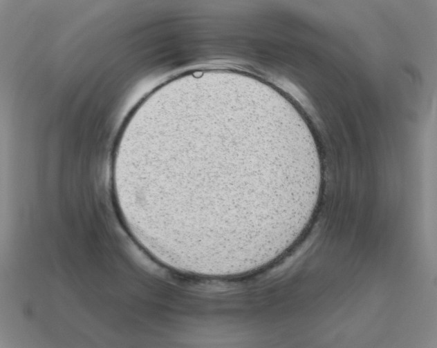 X0000113241420200910221051