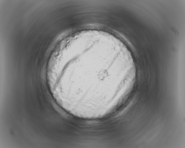 X0000113241421200910221051