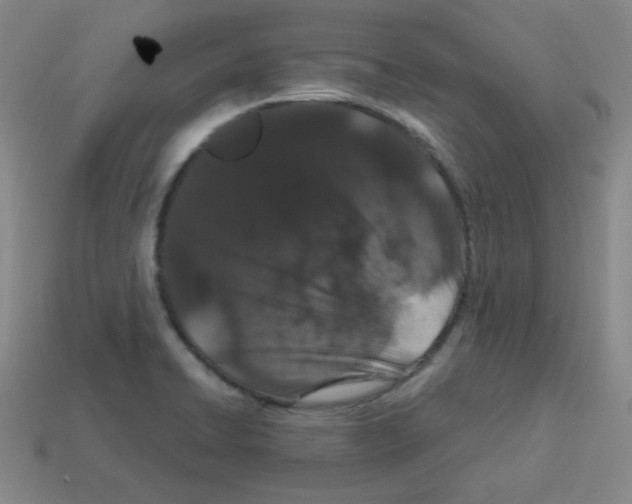 X0000113241422200910221051