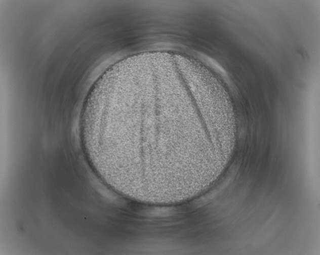 X0000113241423200910221051