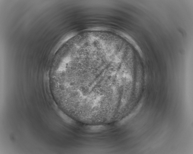 X0000113241425200910221051