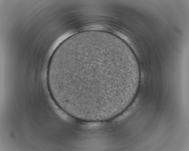 X0000113241426200910221051
