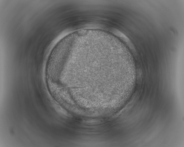 X0000113241427200910221051