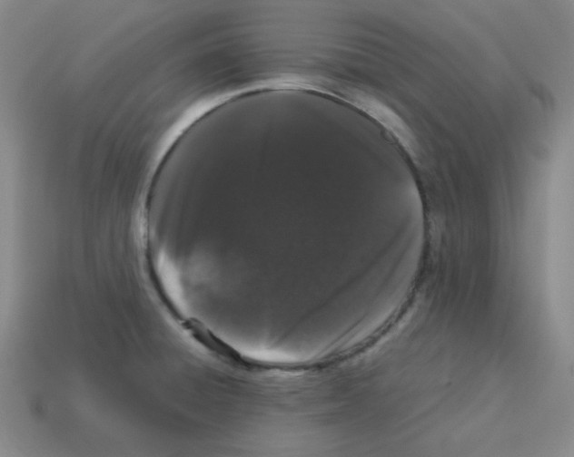 X0000113241428200910221051