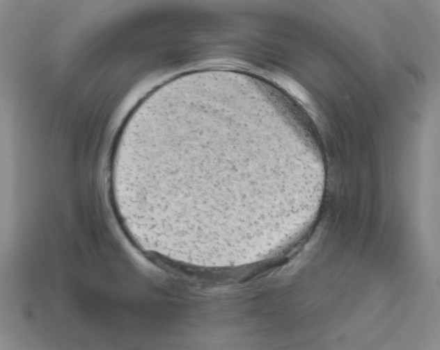 X0000113241430200910221051