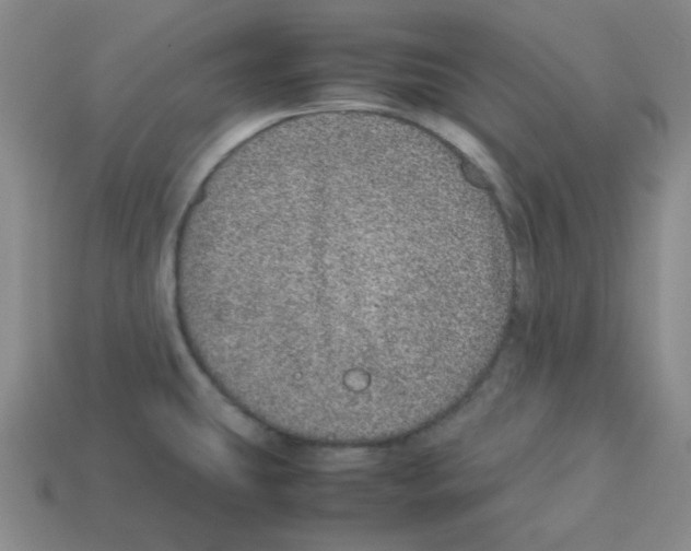 X0000113241431200910221051