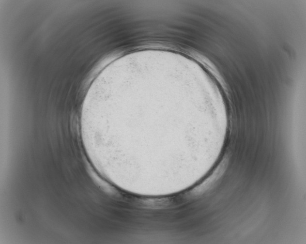 X0000113241433200910221051