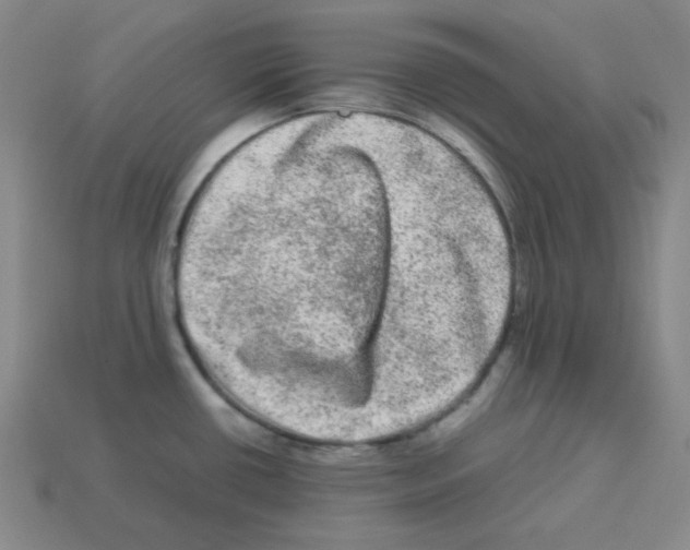 X0000113241434200910221051