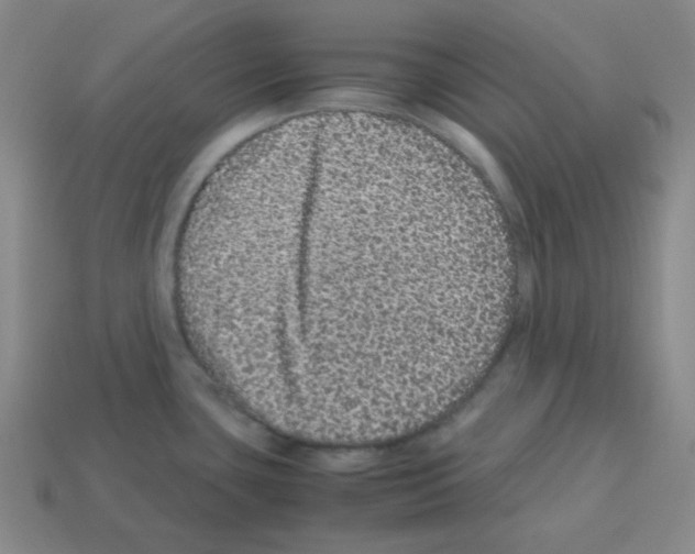 X0000113241435200910221051