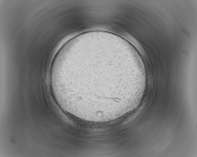 X0000113241436200910221051