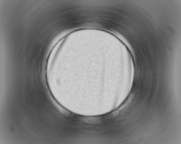 X0000113241437200910221051