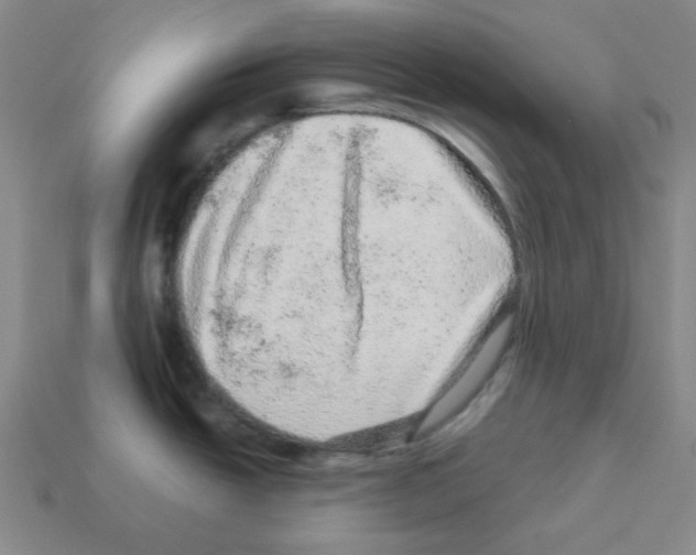 X0000113241438200910221051