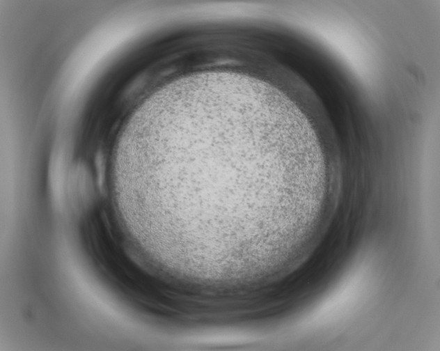 X0000113241439200910221051