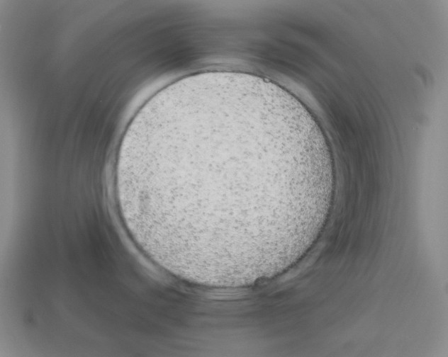 X0000113241440200910221051