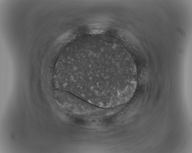 X0000113241441200910221050