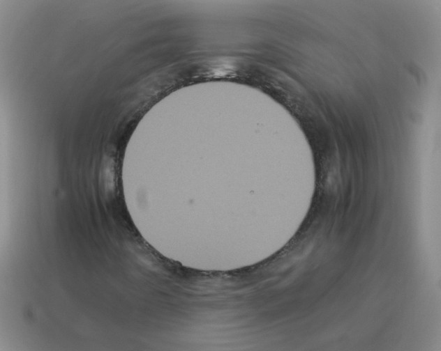 X0000113241442200910221050