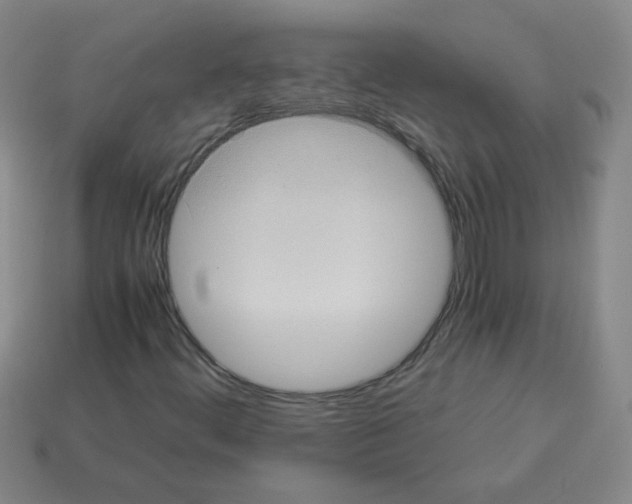 X0000113241444200910221050