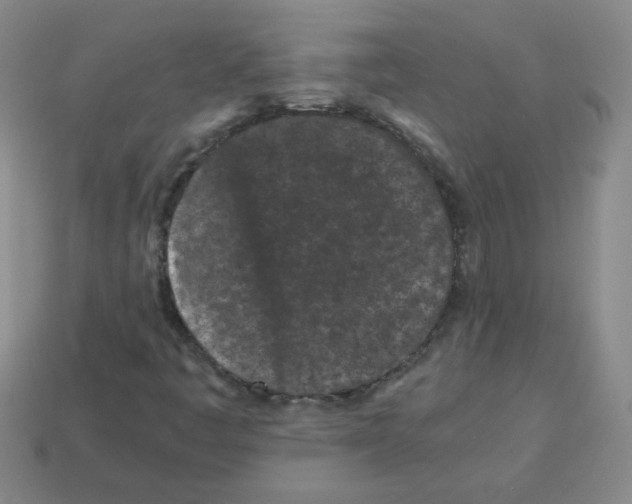 X0000113241445200910221050
