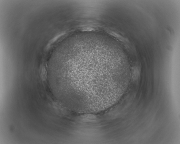 X0000113241446200910221050