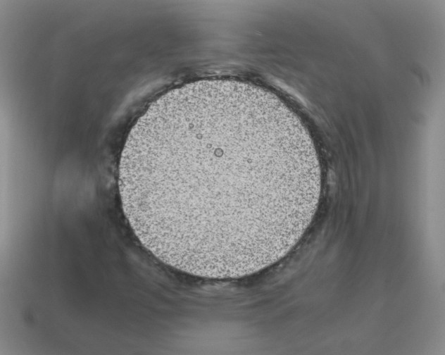 X0000113241447200910221050