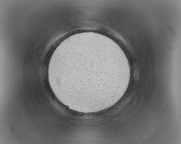 X0000113241448200910221050