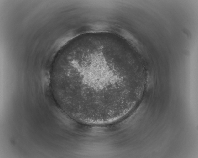 X0000113241449200910221050