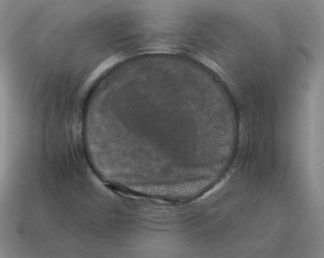 X0000113241450200910221050